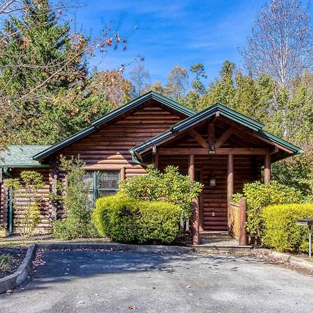 Dog Friendly, Romantic Mtn Getaway Hot Tub Pool 蓋特林堡 外观 照片