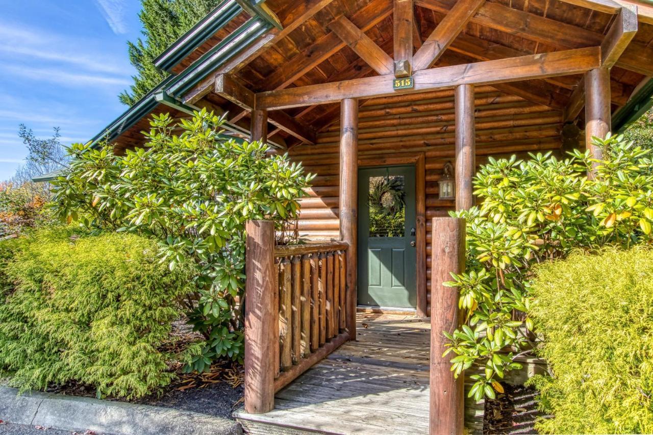 Dog Friendly, Romantic Mtn Getaway Hot Tub Pool 蓋特林堡 外观 照片